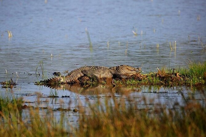 Wilpattu National Park Jeep Safari from Negombo / Waikkal (All Inclusive) - The Packed Breakfast at 7:00 AM: Fuel for the Most Productive Hours