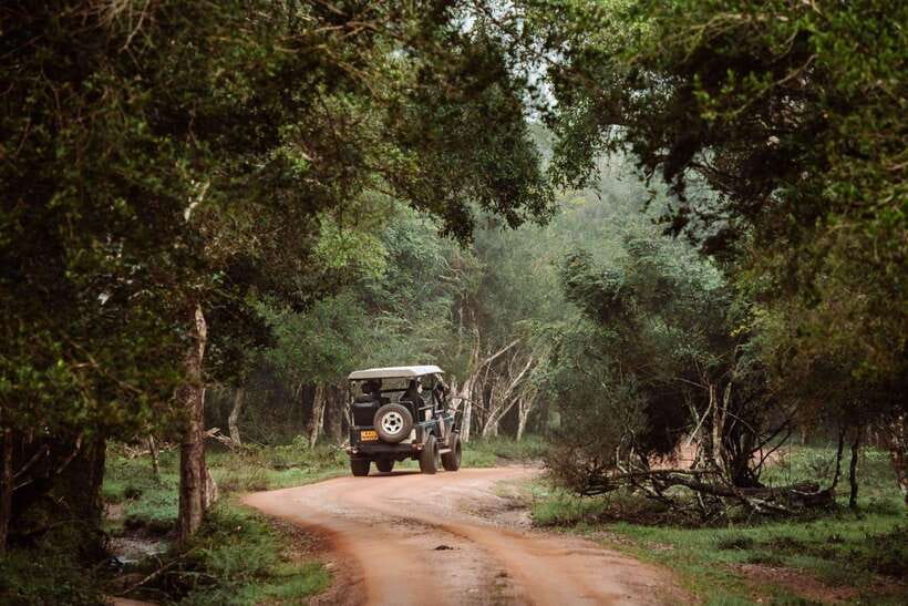 Wilpattu National Park: Private Safari - Should you book this Wilpattu private safari?