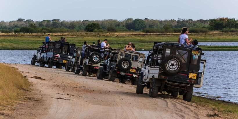 Wilpattu National Park Safari Tour from Colombo - The Long Ride Back to Colombo and How to Stay Comfortable