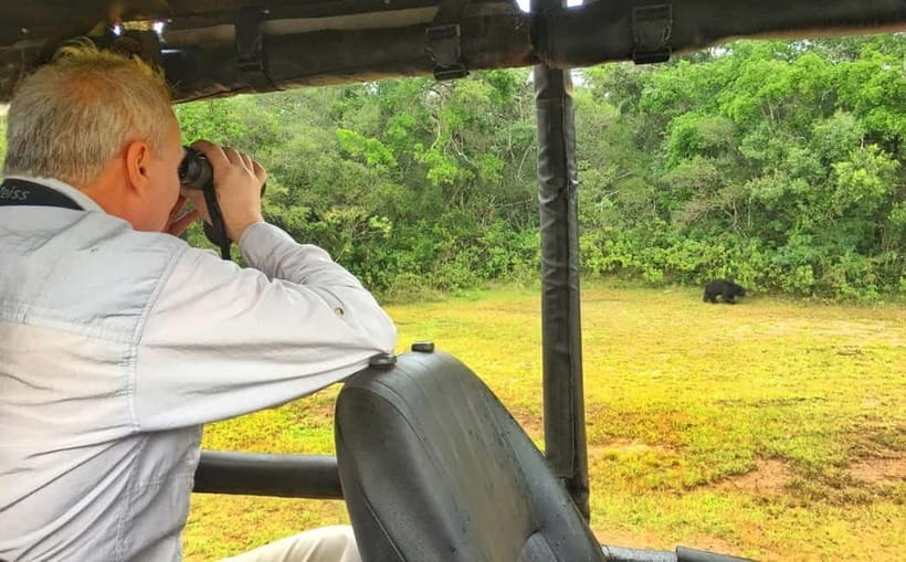 Wilpattu: Private Safari Day Trip with Lunch & Entry Fees - What’s included, what costs extra, and why this is decent value