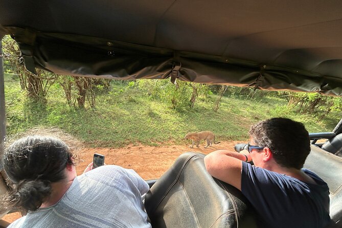 Yala 4h Jeep Safari: Guided Wildlife Experience (All Inclusive) - Price and value: is $172 a good deal for Yala from Bentota?