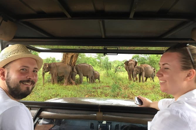 Yala and Udawalawa Safari Tour From Hambantota port - Udawalawe as the smart backup when Yala is shut