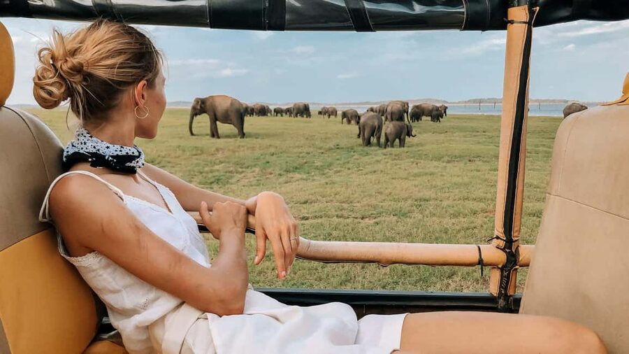 YALA BLOCK 5 & 6 (Weheragala & Lunugamwehera) Safari Tour - Private 4x4 jeeps and golden-hour strategy