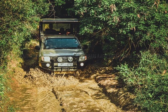 Yala Full day Leopard Safari Tour with Picnic Lunch - Key Points I’d Highlight Before You Go