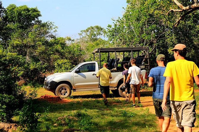 Yala Full day Leopard Safari Tour with Picnic Lunch - Picnic Lunch and Beach Time: The Break That Makes the Safari Better