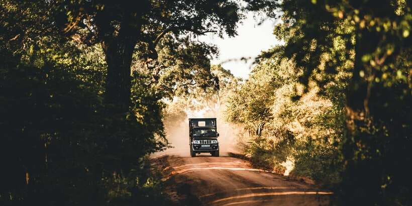 Yala: Morning or Afternoon All-inclusive Private Safari - Key highlights to know before you go