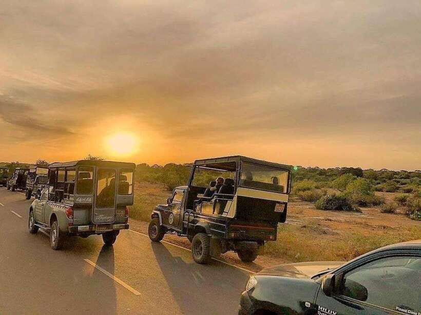 Yala National Park: 7 hour & 12 hour Leopard Safari Tours - Guides Who Act Like Spotters, Not Just Drivers