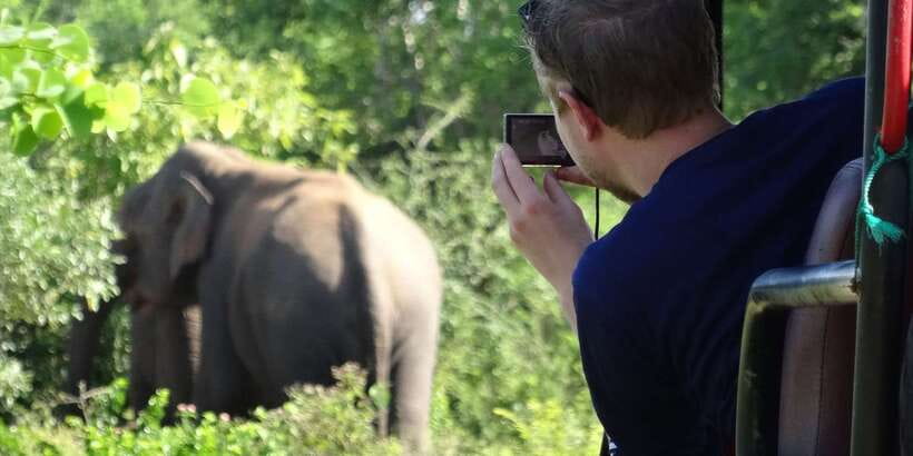 Yala National Park: All Inclusive Full-Day Safari with Lunch - Yala’s Dry Zone habitats are why you see animals (not just scenery)