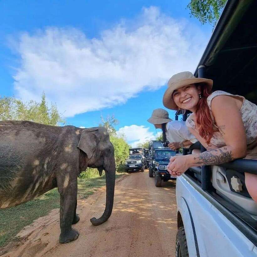 Yala National Park: All Inclusive Private Safari Day Trip - Pickup and drop-off: included, but confirm your exact zone