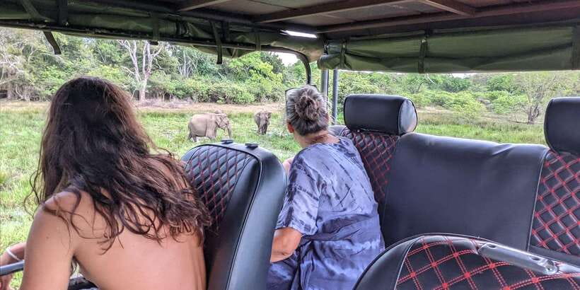 Yala National Park : Full Day Safari(04:30-18:00) - What the full day in Yala feels like (12 hours of sightseeing)