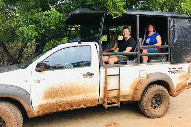 Yala National Park Half Day / Full Day Special Safari Tours - Yala National Park: why the leopard hunt here is so appealing