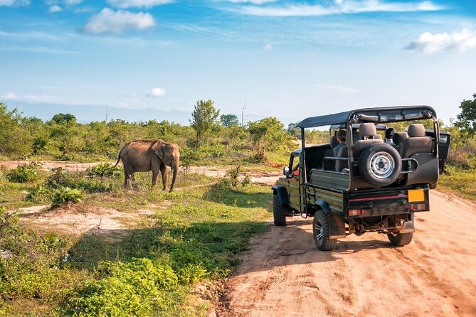Yala National Park Half Day / Full Day Special Safari Tours - Historical sites inside the park, why they’re not filler