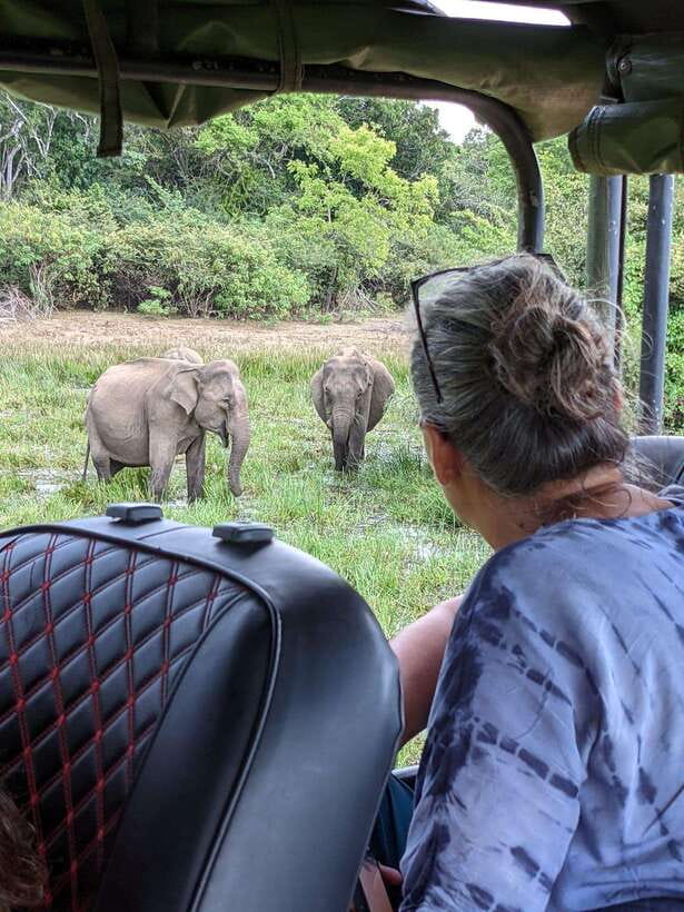 Yala National Park: Half Day or Full Day Leopard Safari Tour - Key things to know before you go