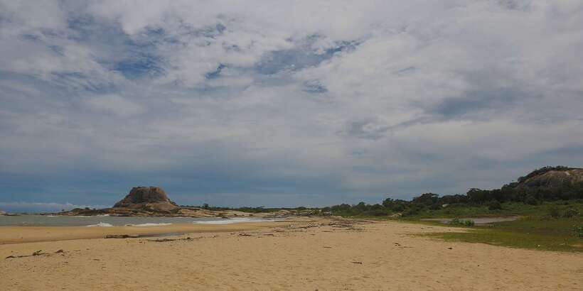 Yala National Park: Leopard Safari Full day tour with Lunch - The vehicle-free window and how to use it well