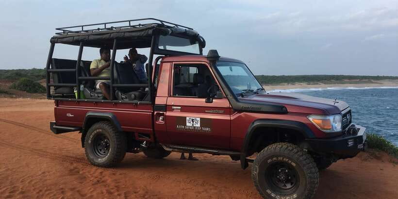 Yala National Park: Leopard Safari Full day tour with Lunch - Afternoon game drive: where leopard hopes get real