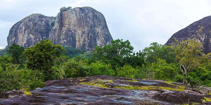 Yala National Park: Leopard Safari Full day tour with Lunch - Why the guide makes a bigger difference than you think