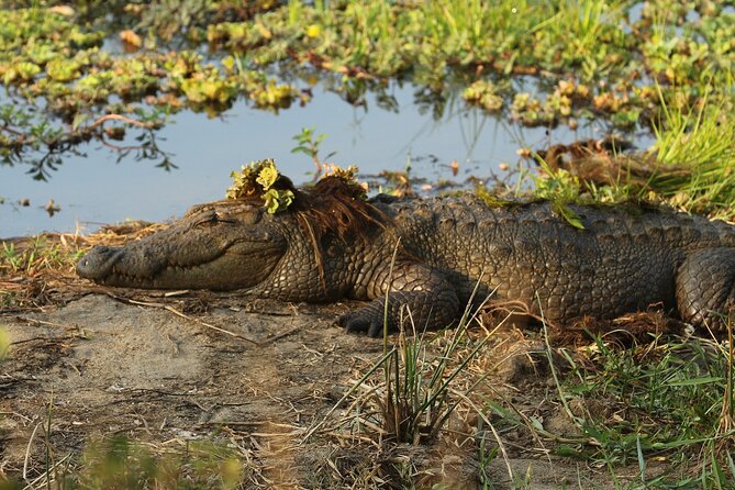 Yala National Park Leopard Safari Tours - Your Yala day in real life: 13 hours, early start, and short park time