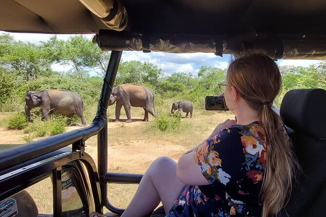 Yala National Park Private Jeep Safari From Colombo & Negombo - Inside Yala National Park, what you can realistically spot