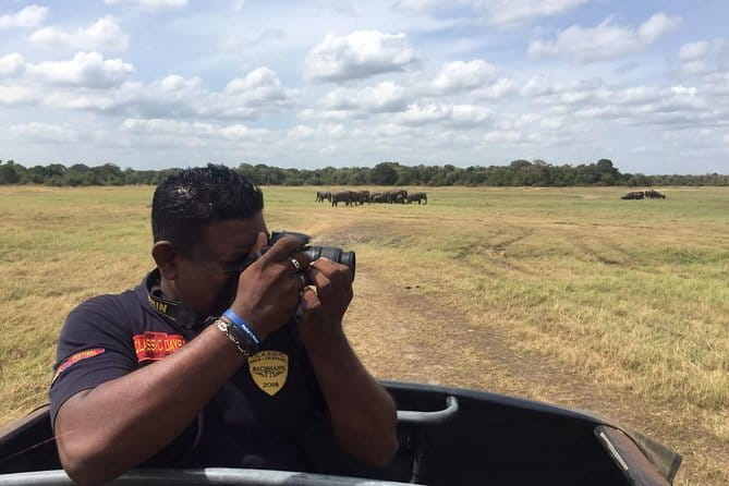 Yala National Park Private Jeep Safari From Colombo & Negombo - Open-top jeep reality: dust, sun, and how to prepare