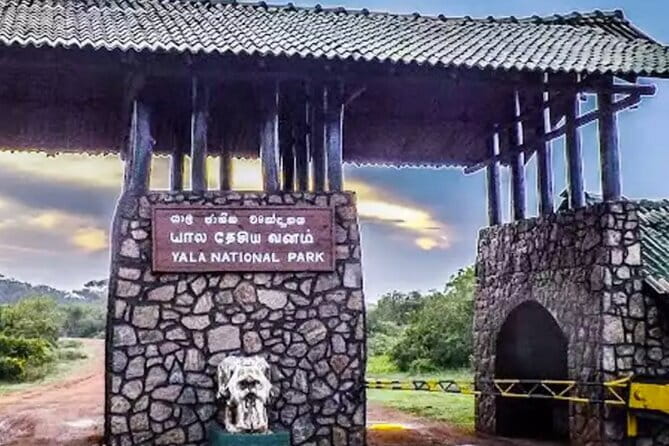 Yala National Park Private Jeep Safari From Colombo & Negombo - Safety and vehicle condition, what to check before you commit