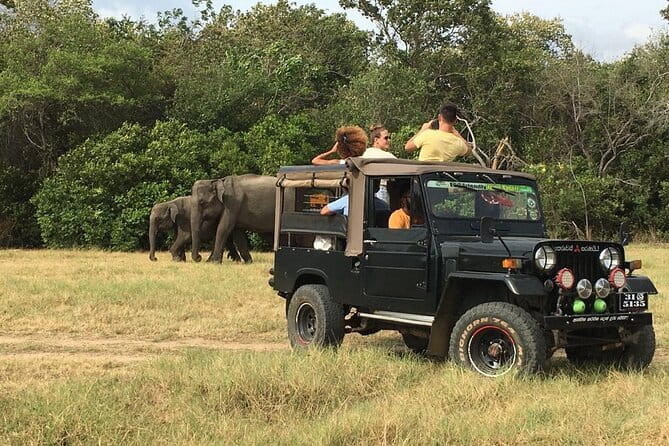Yala National Park Private Jeep Safari From Colombo & Negombo - Price and value at about $250 per person