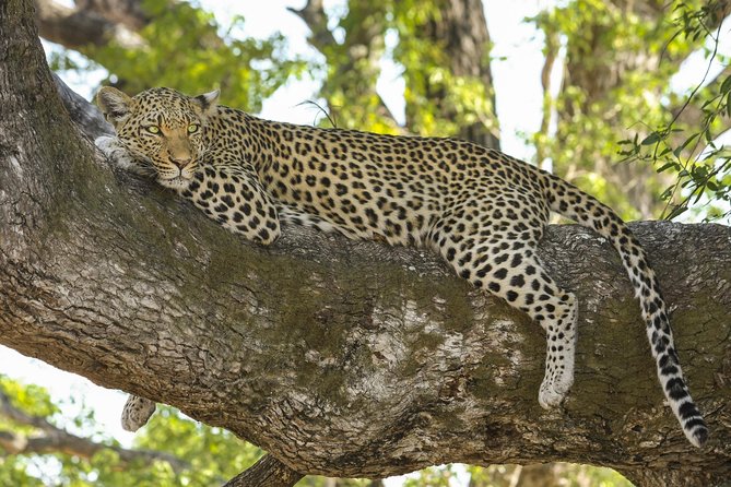 Yala National Park Private Safari - The drive route: forests, plains, and lagoon stops that make sense