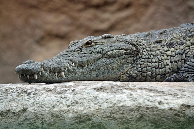 Yala National Park Private Safari (All Inclusive) From Mirissa - Yala Safari, the way you want it: private, early, and organized
