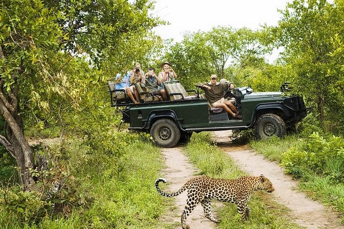 Yala National Park Private Safari (All Inclusive) From Mirissa - Entering Yala early: how you turn “maybe” into “likely”