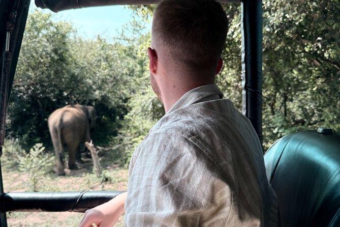 Yala National Park Safari FULLDAY and HALFDAY Expert Guided Tour - The 4x4 jeep setup: comfortable seats, serious spotting