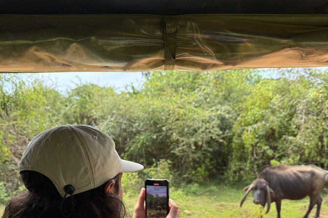 Yala National Park Safari FULLDAY and HALFDAY Expert Guided Tour - How the final hours work: a second leopard and elephant shot