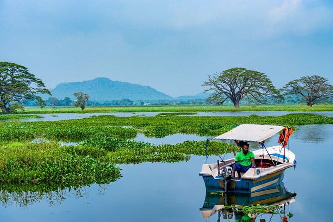 Yala National Park Safari - Half day and Full day - Who this Yala safari suits best