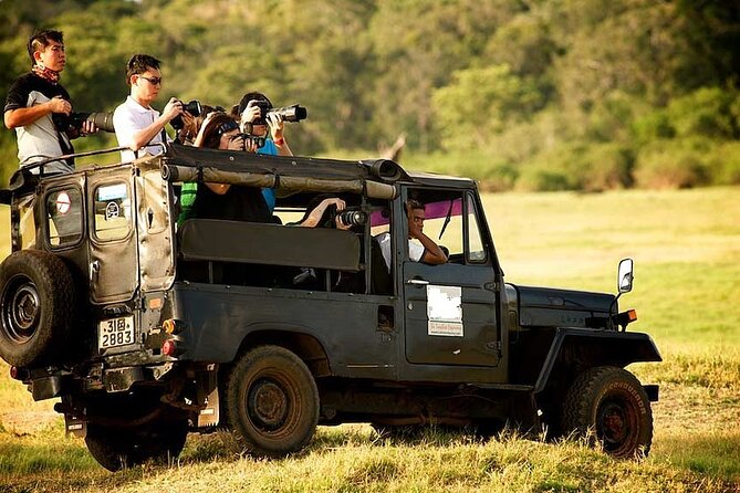 Yala National Park Safari - Private Tour - Private Yala safari value: less planning, more wildlife time