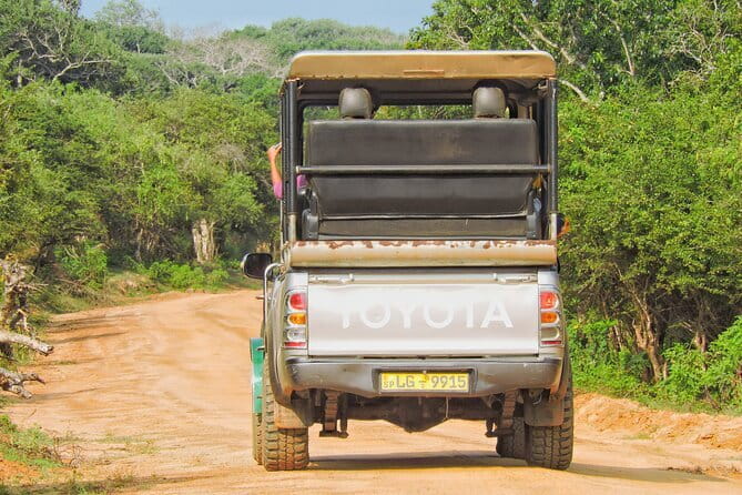 Yala National Park special Half-Day & Full-Day Safari Adventure - Price and logistics, what $35 buys, and what to budget for park entry