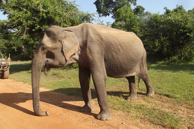 Yala National Park Special Leopard Safari Tour - The safari team in the jeep: Yala Nisha Safari and guide Ish