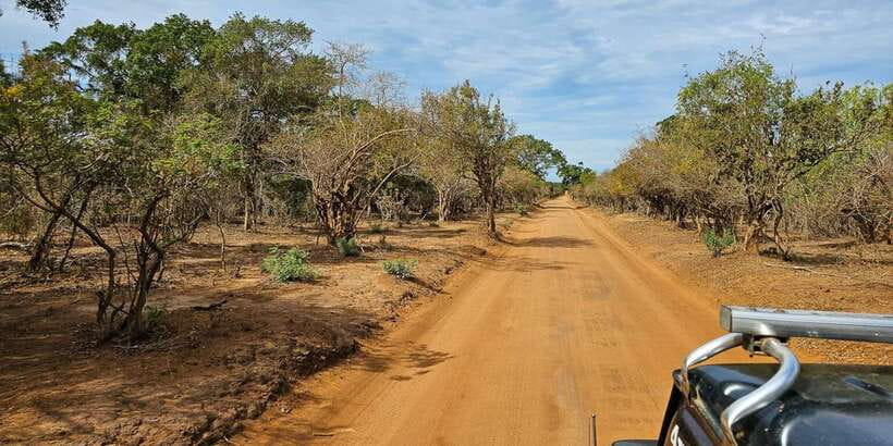 Yala National Park Wildlife safari from Mirissa - From Mirissa pickup to Yala: how the day actually flows