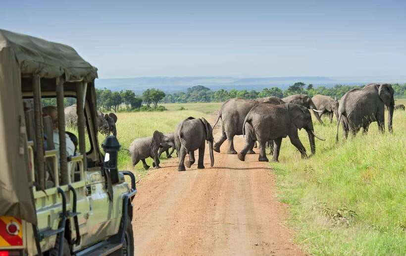 Yala Safari : 7 hour & 12 hour Tours - What you actually eat: breakfast, lunch, fruits, water bottles