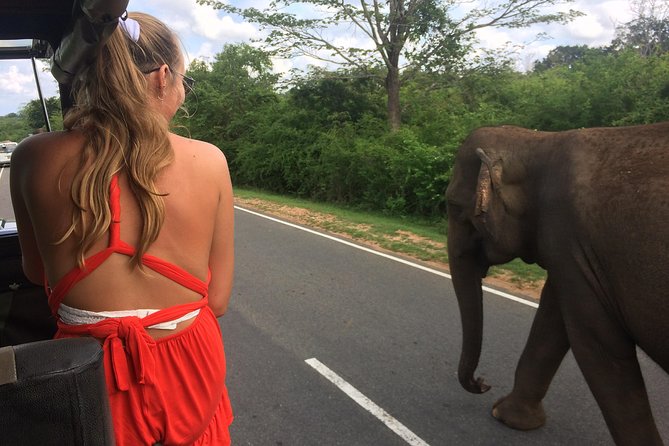 Yala Safari Drive From Galle, Weligama, Mirissa & Dickwella - Entering Yala: ecosystems that support elephants, leopards, and birds