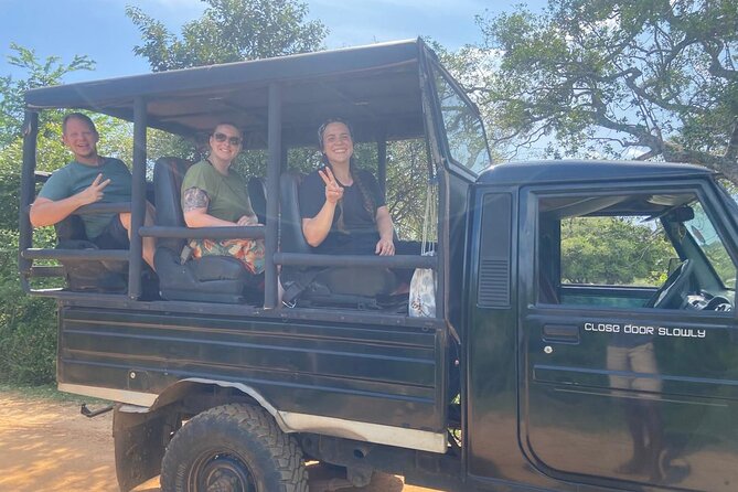 Yala Safari Half Day Tour - Leopard chances: how your guide’s choices shape the outcome