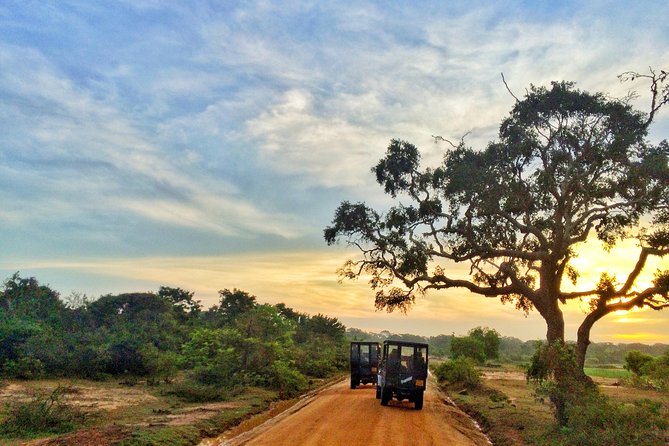 Yala Safari Private Day Trip from Bentota and Kalutara Areas - Yala National Park By 4x4 Jeep: What Four Hours Feels Like
