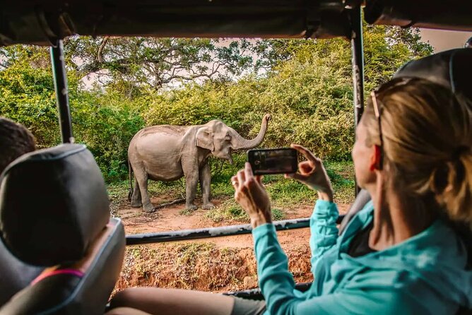 Yala Safari Tour from Hambantota Port by Ajith Safaris - Cruise Timing Meets Yala Wildlife From Hambantota