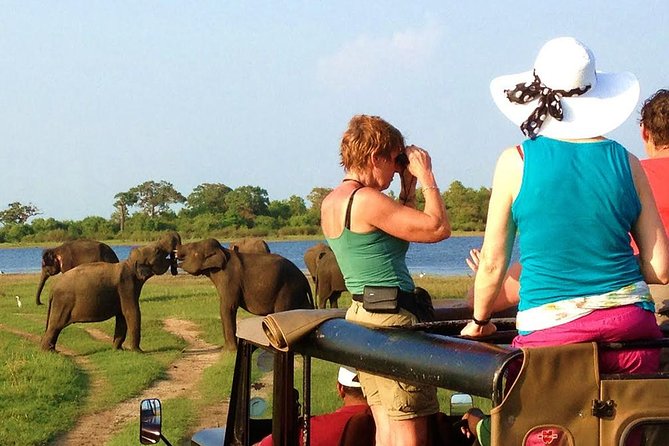 Yala Safari Tour from Hambantota Port (Shore Excursion) - Where this Hambantota port safari fits in (and why it works)