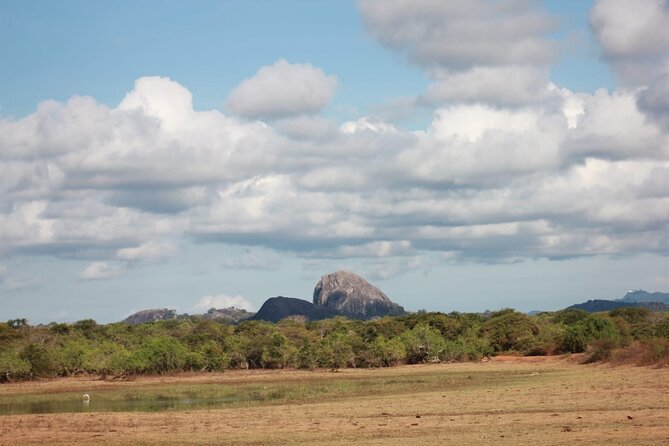 Yala safari Tours Morning /Afternoon /Fullday - Getting there without a headache: Tissamaharama, Bundala, Kirinda, and Yala hotels
